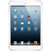 Apple iPad mini 32Gb Wi-Fi + Cellular белый - Петропавловск-Камчатский
