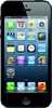 Apple iPhone 5 16GB - Петропавловск-Камчатский